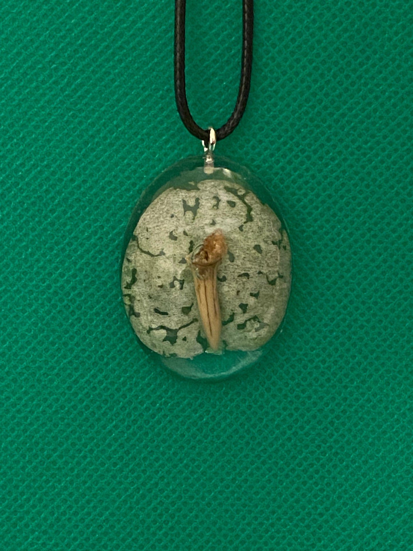 Tooth and leaf in resin