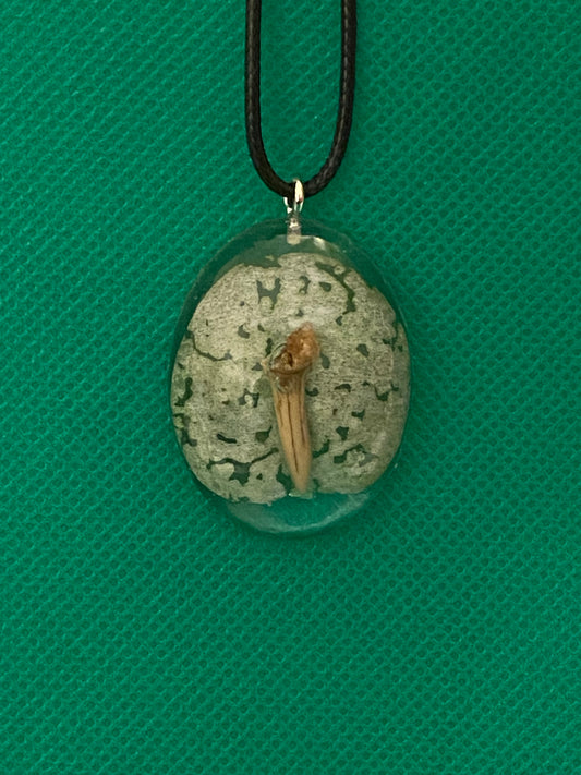 Tooth and leaf in resin