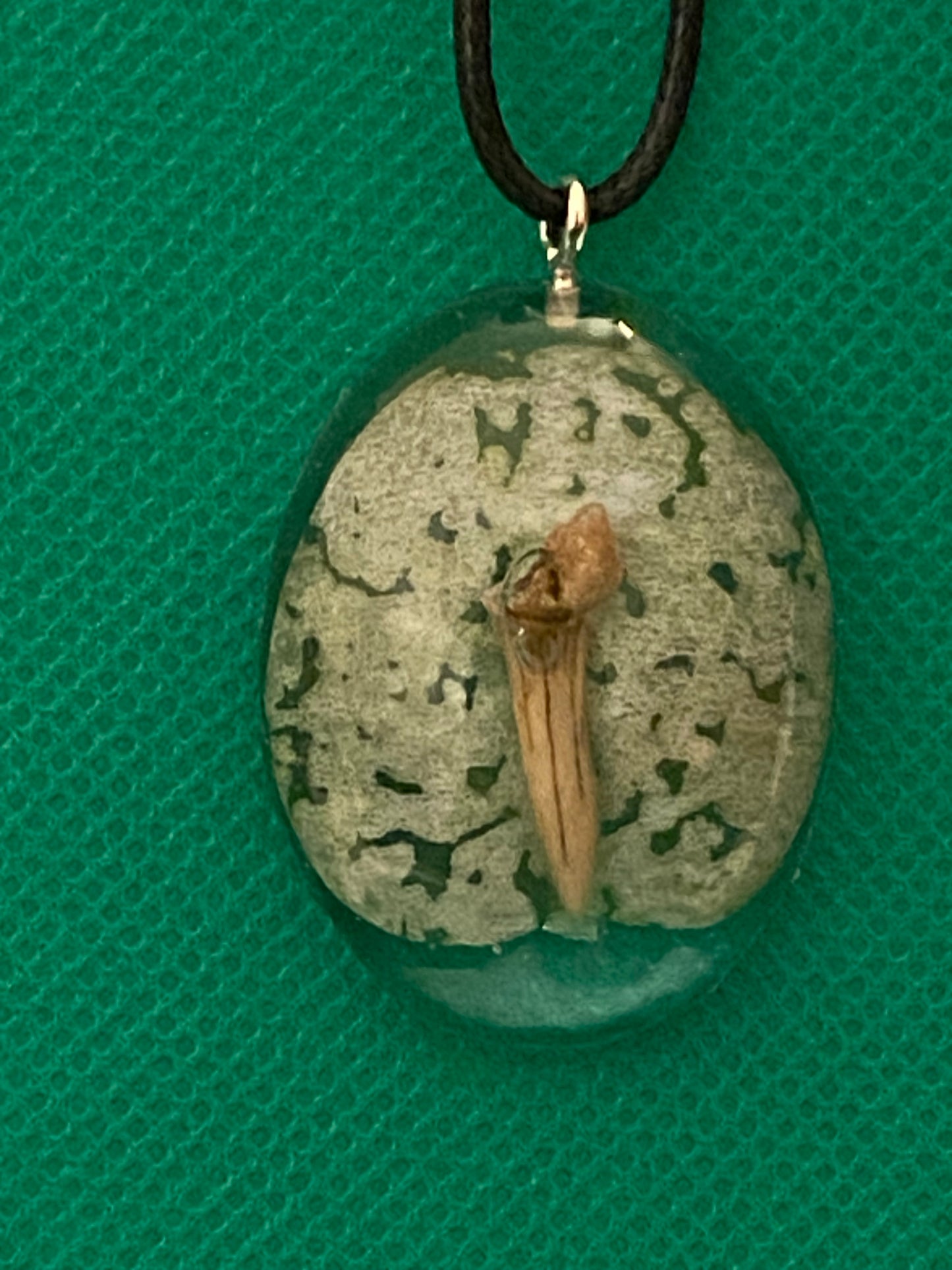 Tooth and leaf in resin